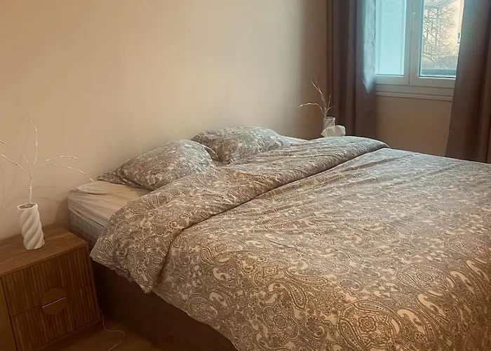 アパート Cozy Near Center And Train Station クレルモン・フェラン